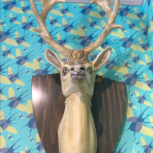 Meet your Posher, Bernard - Picture 1 of 1